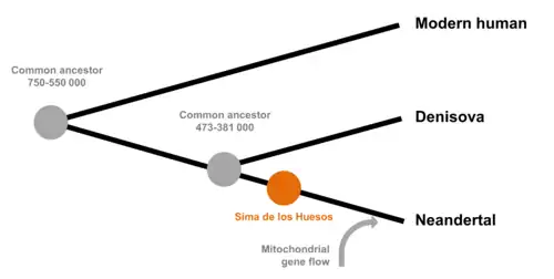 A line diagram