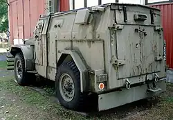 Pig rear view