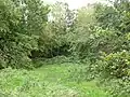 Humberstone Park