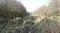 Hutchinson's Bank