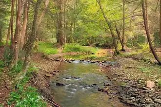 Stream