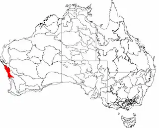 The interim Australian bioregions, with Geraldton Sandplains in red