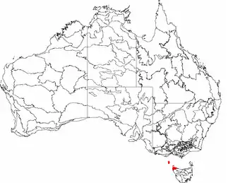 The interim Australian bioregions, with King in red
