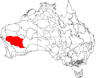 The interim Australian bioregions, with Murchison in red