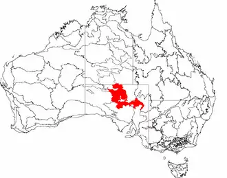 The interim Australian bioregions, with Stony Plains in red