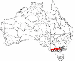 The interim Australian bioregions, with the Victorian Midlands in red