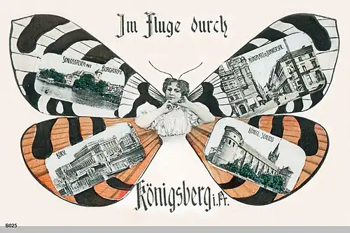 Postcard 1884