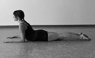 Yin Yoga's Sphinx pose, an easier variant, used in long holds[15]