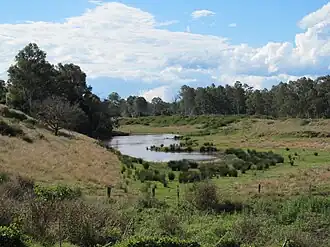 Fields near Moggill Ferry, 2013