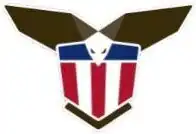 IRS-CI Logo