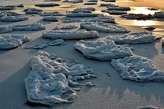 Ice off the coast of Komarovo at sunset