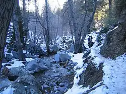 Along the Icehouse Canyon Trail