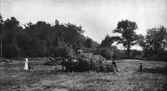Farm