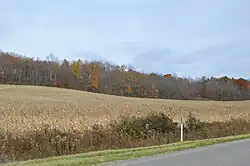 Fields along Ideal Road, northeast of Byesville