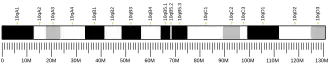 Chromosome 10 (mouse)