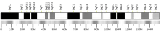 Chromosome 6 (mouse)