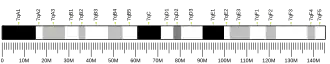 Chromosome 7 (mouse)