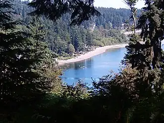 Shoreline