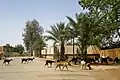 Street scene in a residential area, Illizi