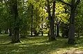 Illuka manor park