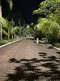 The Esplanade at night