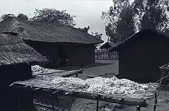 Makobola 1 in 1954