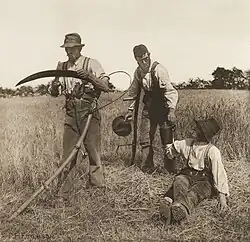 Traditional barley harvest by hand with scythes, England, c. 1886. Photo Peter Henry Emerson