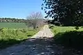 Road leading to ancient ruin (Khallat ez-Zeituna)