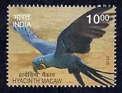 In flight on an Indian postage stamp.