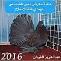 UAE show 2016