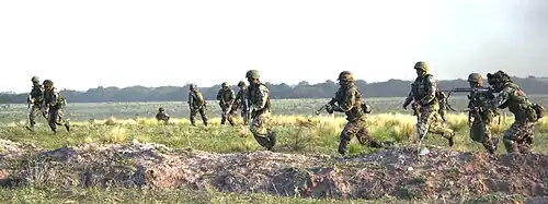 Argentine Infantry.