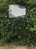 Information board detailing the history of the village
