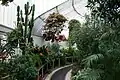 Inside the Palm House