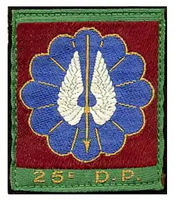 Shoulder Arm Insignia of the 25th Parachute Division of France