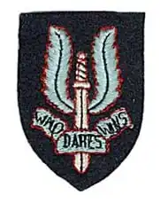 Beret Insignia of French SAS