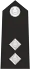 Insignia Of Assistant Superintendent (2 years' service)