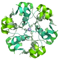Cartoon diagram of an insulin glulisine dodecamer. The histidine residues coordinating the central zinc atom are shown as sticks, and the zinc atom itself as a pale blue sphere.