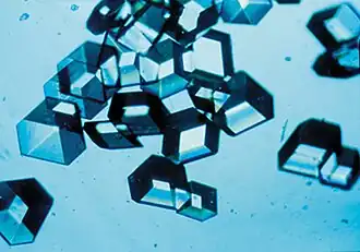 Image 2Synthetic insulin crystals synthesized using recombinant DNA technology (from History of biotechnology)