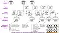 Integrated Process Flow for VA IT Projects (2001)