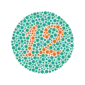Ishihara Plate No. 1 (12)