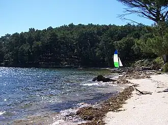 Beach of the island