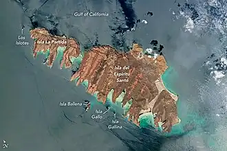 Isla Gallina (south)
