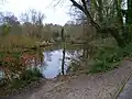 Miller's Pond
