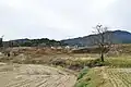 Remnants of earthen ramparts