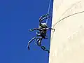 Sculpture 'Itsy Bitsy' by local artist Andrew Whitehead on the water tower.