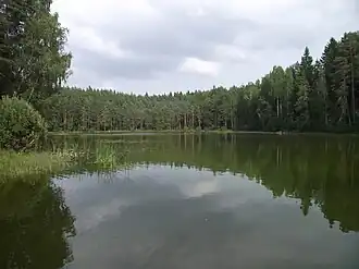 Pesujärv, a lake in Jõuga
