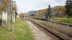 Platform