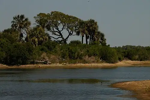 Jacks Creek at Bulls Island in Cape Romain National Wildlife Refuge