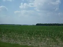 Farmland in western Jackson Township