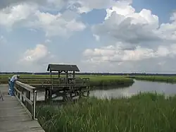 The marshes of James Island, SC